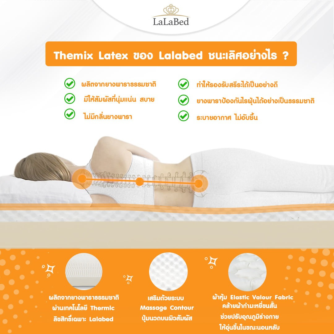 lalabed-content-blog-the-latex-mattress-04