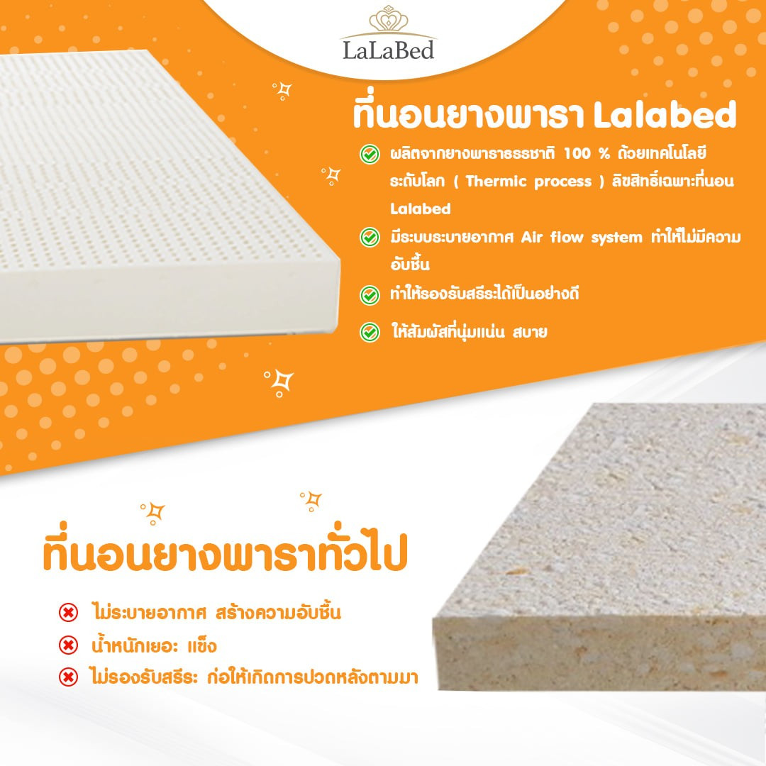 lalabed-content-blog-the-latex-mattress-02